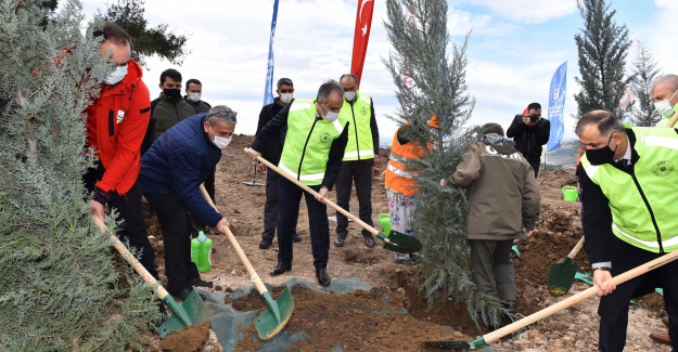 Sağlık Kahramanları Ormanı