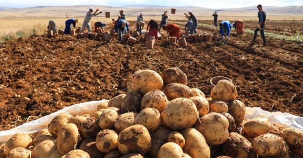 Üretici ekimde zorlanıyor, patateste de ithalat kapıda