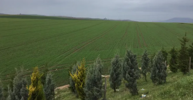 Bandırma ve Erdek'te sanayi bölgesi itirazı: "Tarım biter.."