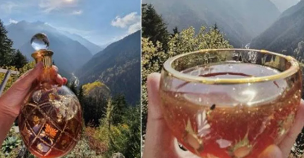 Mağaralarda toplanan Türk kantaron balı, Guinness Rekorlar Kitabı'na girdi