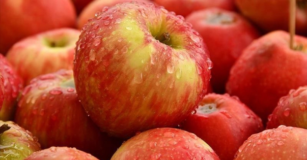 Rusya 63 ton Türk elmasını geri gönderdi