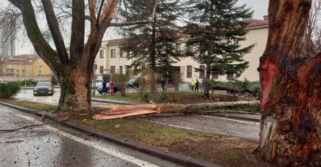 TBMM bahçesine yıldırım düştü