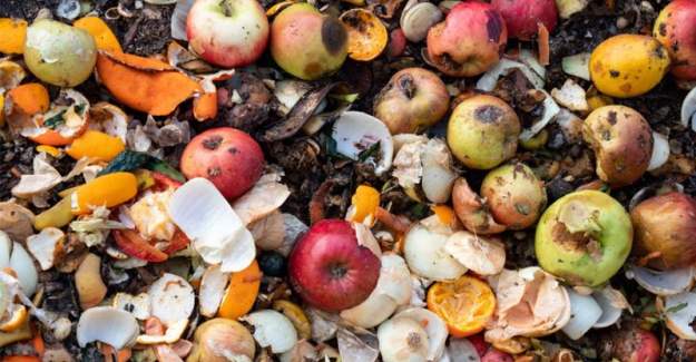 Türkiye'de her yıl 7,7 milyon ton yiyecek çöpe atılıyor