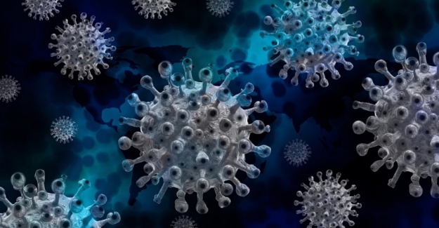 Ultrason Kullanarak COVID-19'u Yok Etmek Mümkün Olabilir mi?