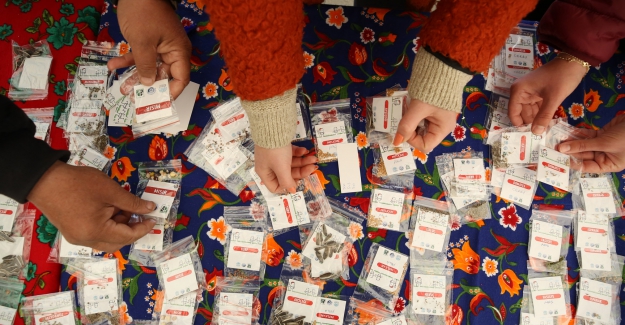 15 bin paket yerel tohum vatandaşla buluştu