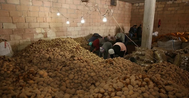 Ekonomik gerçek: Bedelsiz patates dağıtımı izdihama neden oldu!