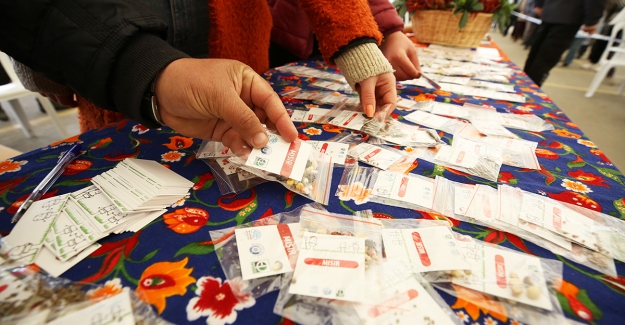 Nilüfer’de "yerel tohum" dağıtımı sürüyor