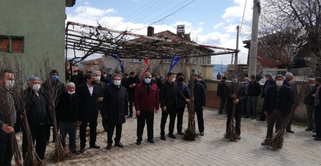 Orhaneli Çiftçisine 3 bin 600 vişne fidanı dağıtıldı