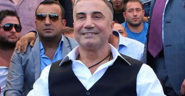 Sedat Peker Suç örgütü operasyonunda 52 gözaltı