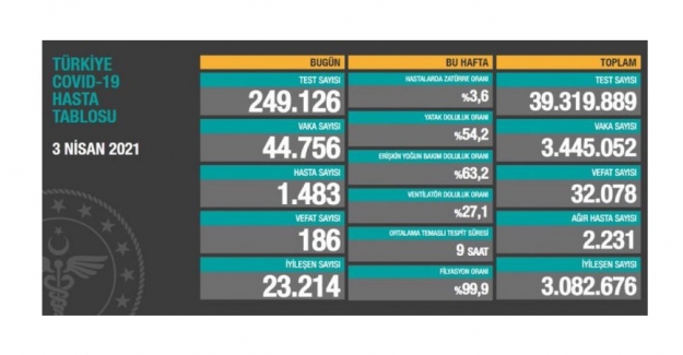 Tırmanış sürüyor:  son 24 saatte 186 kişinin hayatını kaybettiği açıklandı