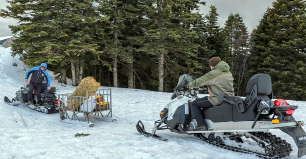 Bu hafta sonu 'Zümrüt Yeşil Kar Beyaz Zirvesi' ULUDAĞ'dayız..