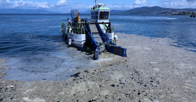 Bursa sahillerinde salya operasyonu