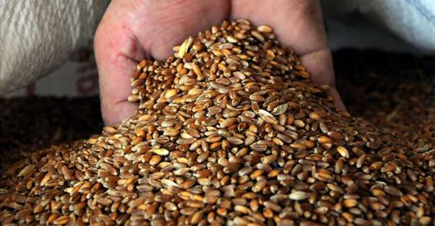 Büyük zam yolda! Ekmek, makarna ve et...