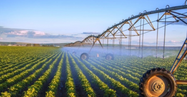 Ekonomist Önder Tavukçuoğlu: Acil tarım politikası oluşturulmalı