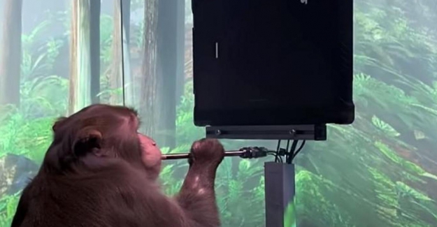 Elon Musk'ın insan beynine çip takmayı hedeflediği şirkette büyük ayrılık