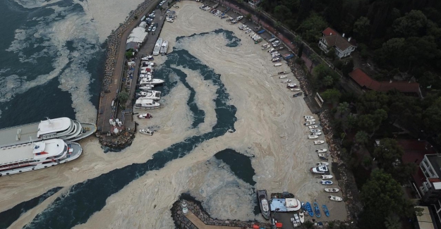 Eskihisar Sahili'ni yeniden müsilaj kapladı