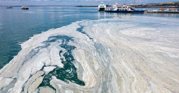 İstanbul’u Saran Kabus: Müsilaj uzaydan görüntülendi
