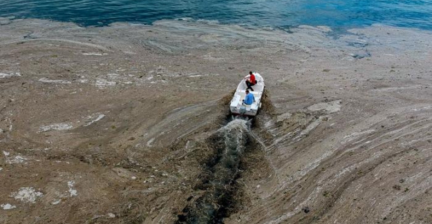 Marmara Denizi'nde müsilajla mücadele eylem planı açıklandı