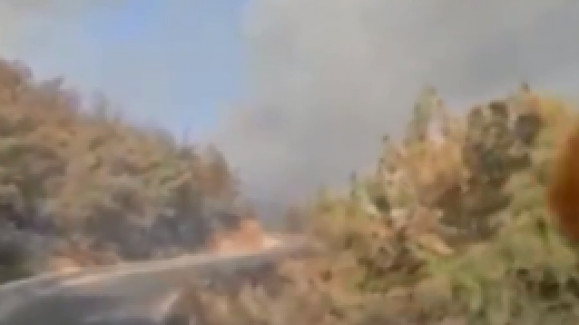 Bodrum’daki yangında sabotaj şüphesi!