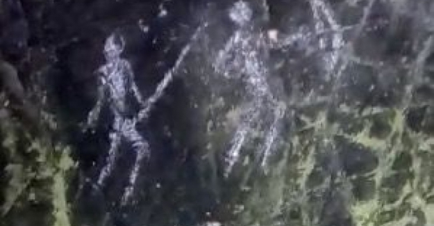 Bursa'nın Mustafakemal İlçesi 15 milyon yıl önceki fosil yataklarına ev sahipliği yapıyor