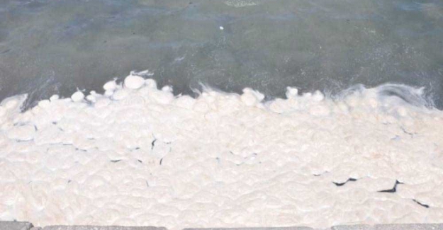 Ege sahilinde endişelendiren görüntü