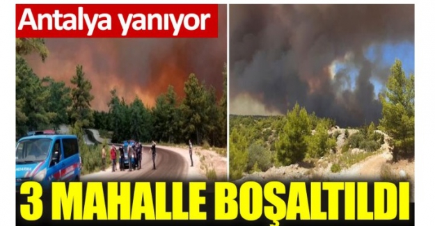 Manavgat'ta orman yangını. 3 mahalle boşaltıldı