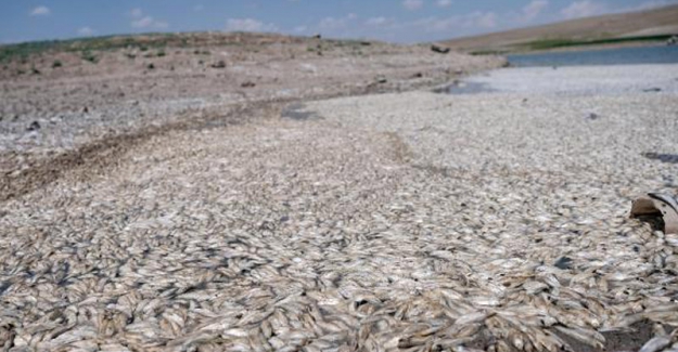 Konya’nın Akören ilçesindeki May Barajı’nda sular çekildi