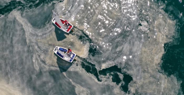 Müsilajdan kurtulmanın çözümü: Marmara'yı kirletmeyin