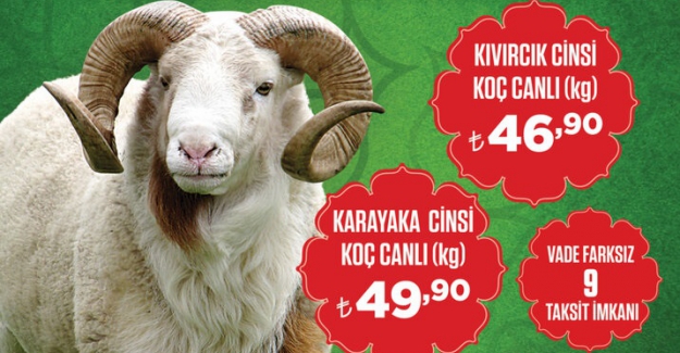 Özdilek Bursa Merkezde kurban satışları başladı!