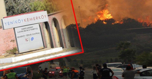 Alevler, 'Milas Termik Santrali'ni sararsa ne olacak?