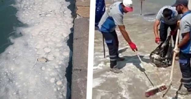 Datça sahilinde korkutan görüntü