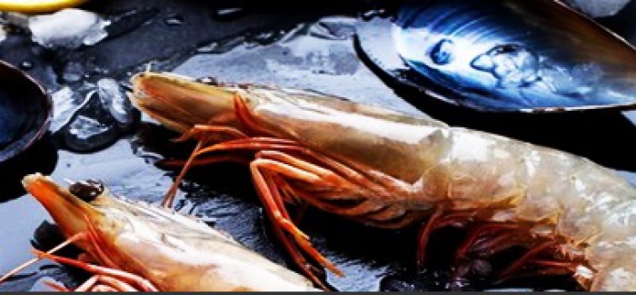 Diyanet'ten bir açıklama daha! Deniz ürünleri haram mı helal mi?