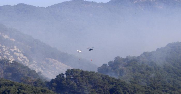 Kazdağları'nda yangın: Soğutma çalışmaları sürüyor