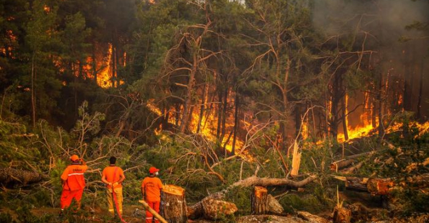 Manavgat'taki yangını 12 yaşındaki çocuğun çıkardığı belirlendi