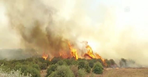 Manisa'da makilik alanda çıkan yangın kontrol altına alındı