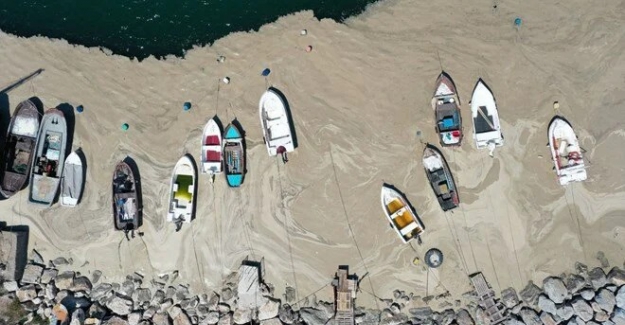 Marmara Denizi’ni kurtaracak rapor