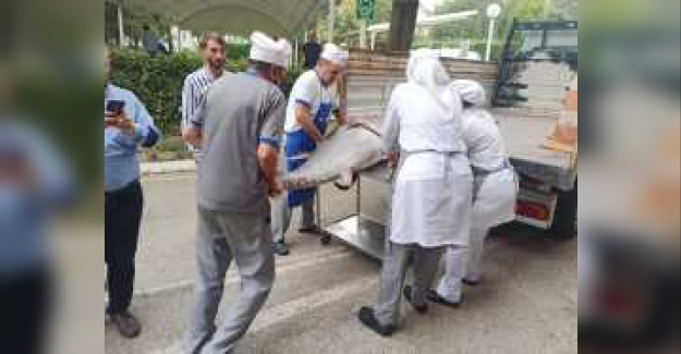 Balık sezonu sıkı denetimle başladı