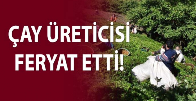 “Bedelini seçimde ödeyecekler”