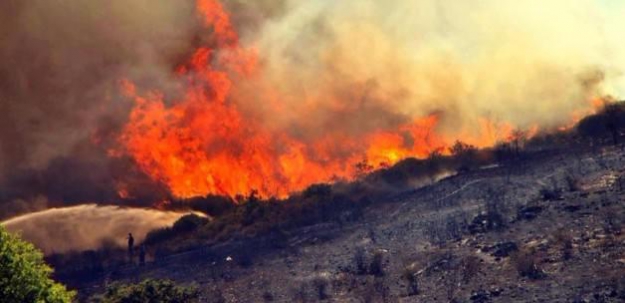 Bodrum yine alev alev! Ekipler bölgede müdahale ediyorlar