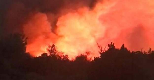İzmir Karaburun'da orman yangını