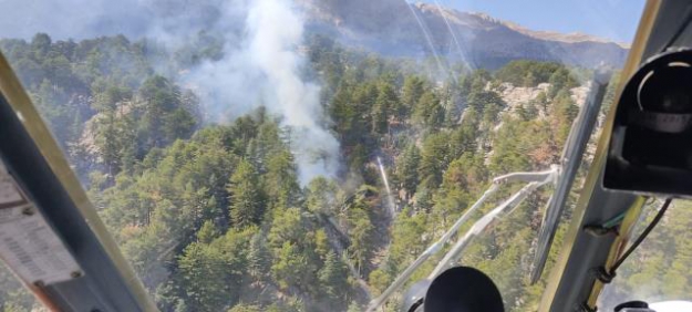 Manavgat'ta yeniden orman yangını!