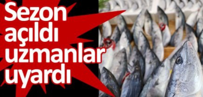 Sezon açıldı uzmanlar uyardı: "Esmer etli balıklara dikkat!.."