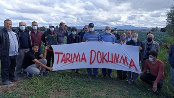 Bafra Ovası betonlaşma tehlikesiyle karşı karşıya