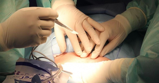 Domuz böbreğinin insana nakli helal mi, haram mı? İlahiyatçılar yanıtladı