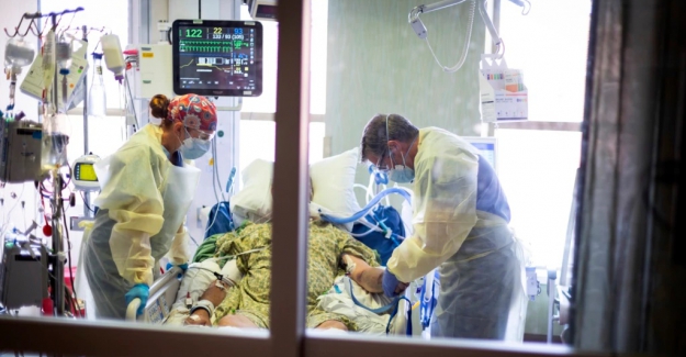 Dünyada Corona Virüsü Ölümleri 5 Milyona Ulaştı