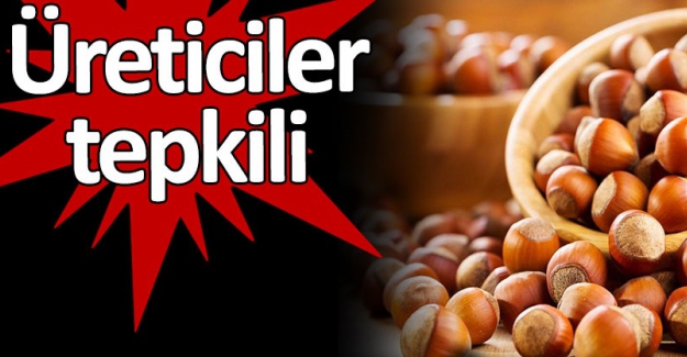 Fındıkta kriz başladı