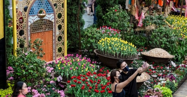 Pandeminin ardından dünyanın yaşaması en güvenli beş şehri