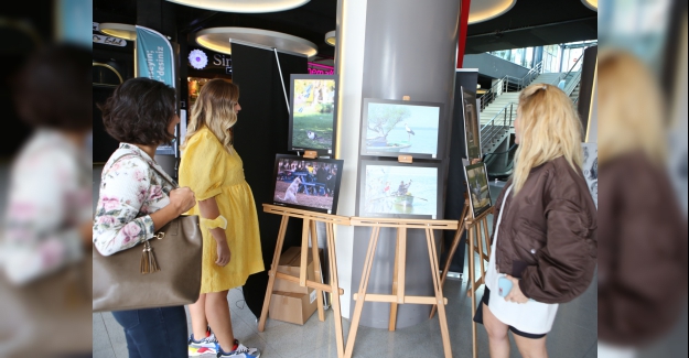 Sokaktaki ‘Can Dostlar’ objektiflere yansıdı