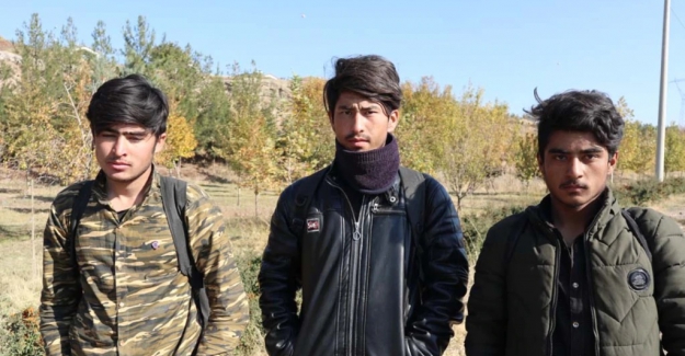 Afgan Sığınmacılar Yine Yollarda