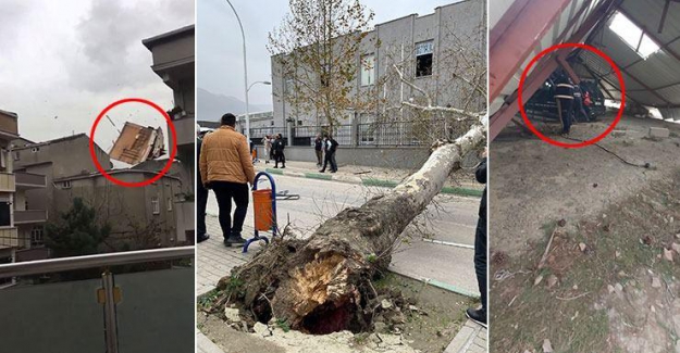Lodos can aldı! İstanbul ve Zonguldak'ta 5 kişi hayatını kaybetti